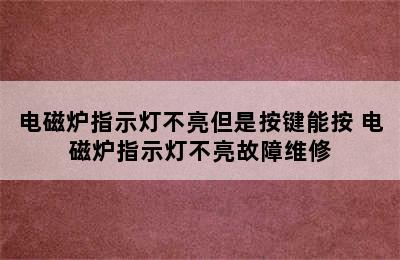 电磁炉指示灯不亮但是按键能按 电磁炉指示灯不亮故障维修